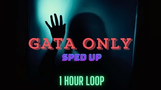 FloyyMenor  GATA ONLY Ft Cris MJ sped up  16x  1 Hour Loop  Official Best Loop Music [upl. by Llemhar981]