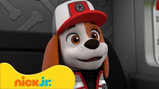 Psi Patrol  Najlepsze Momenty z Piesków z Dużej Ciężarówki 🚒🐶  Nick Jr Polska [upl. by Ydualc]