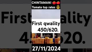 CHINTAMANI 🍅 TOMATO top rates 😎🔥 todaytomatorateinchintamani chintamani [upl. by Prisca546]