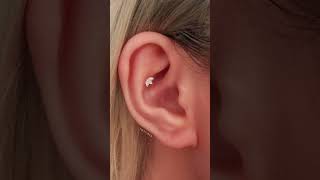 6 Types of Conch Piercings [upl. by Anirbac]