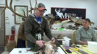 Learn Taxidermy Part 3Professional Tanning for Todays Taxidermists [upl. by Yaras385]