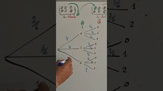 Arbre de probabilité [upl. by Clay46]