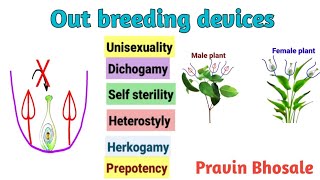 Outbreeding Devices in Hindi  Reproduction in lower and higher plants [upl. by Assiral]