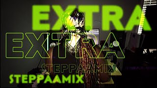 Extra Erica Banks Remix  Steppaa [upl. by Ahsekahs573]