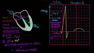 Electrocardiogramme ECG interpretation dun ECG normal [upl. by Addam]