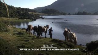 Chasse à cheval dans les montagnes catalanes [upl. by Jakie802]