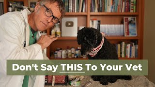 7 Things to Never Say to Your Vet [upl. by Ecyor]