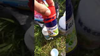 spray kubis  pemudapetani ytshorts [upl. by Marti]