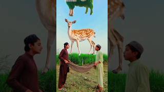 islamicvideo shortvideo [upl. by Omero]