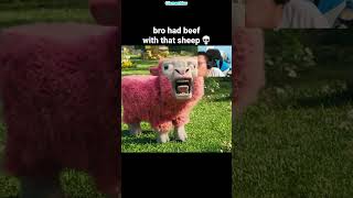 Minecraft Sheep Moment [upl. by Abbate]