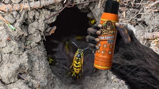 Gorilla glue spray adhesive vs ground wasp nest wasp glue trap [upl. by Einohtna132]