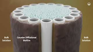 Explore ZeeLung Membrane Aerated Biofilm Reactor by Veolia [upl. by Pearse]