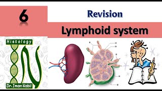 Revision of Lymphoid systemBlood and lymphoid system [upl. by Ioyal923]