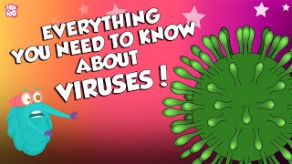 What Is A Virus  Everything You Need To Know About Viruses  Dr Binocs Show  Peekaboo Kidz [upl. by Ardiedal]