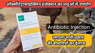 Oxytetracycline Injection ऑक्सीटेटरासाइक्लिन इंजेक्शन का पशु चिकित्सा में उपयोग  Veterinary uses [upl. by Korie]