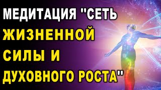 Медитация Сеть жизненной силы и духовного роста ۞ Исцеление души Дмитрий Мельник [upl. by Peednas895]