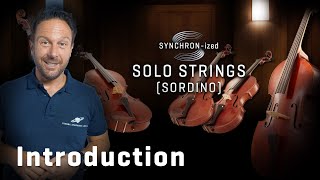 NEW Studio Series SYNCHRONized Solo Strings  Con Sordino [upl. by Ecarg519]