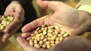 A look inside Suffolks Birdsong Peanuts [upl. by Shay]