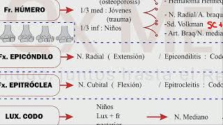 Traumatología  Academia Mis Cursos 2 [upl. by Eux]