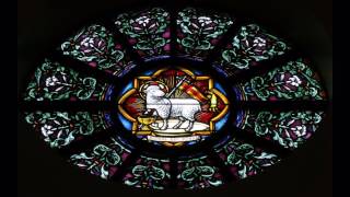 Agnus Dei qui tollis peccata mundi miserere nobis [upl. by Enal]