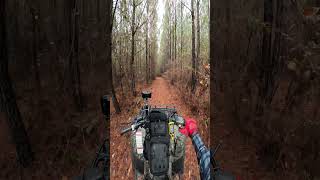 The Trail to HAUNTED Devils Cabin 😱 😱 😱 😱 😱 [upl. by Okomom]