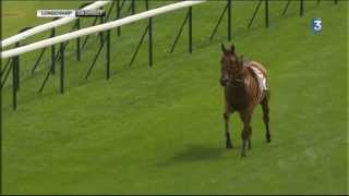 Un cheval séchappe avant le départ du quinté [upl. by Assirahs465]