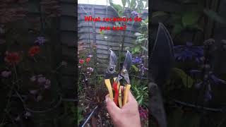 What secateurs do you use [upl. by Wina]