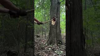 Fireman’s Axe vs Tree🌲🪓 fireman firemansaxe logger cabin buildingalogcabin woodworking axe [upl. by Nho]