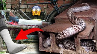 बाप रे बाप ऐसी जगह छुपा था जहरीला नाग फिर क्या हुआ देखिए आगे। 😱😱Rescue venomous cobra snake [upl. by Ken]