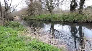 Trouting Time  Fishing The River Wandle [upl. by Iorio427]