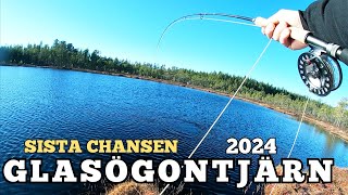 FISKE I DALARNA  GLASÖGONTJÄRN 2024 [upl. by Dorothy320]