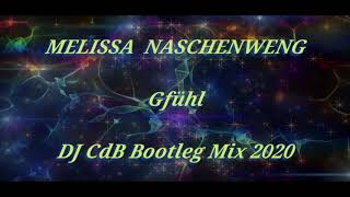 Melissa Naschenweng  Gfühl DJ CdB Bootleg Mix 2020 [upl. by Lauree]