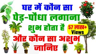 घर में कौन सा पेड़पौधा लगाना शुभ होता है और कौन सा अशुभ जानिए  Vastu Plants for Home in Hindi [upl. by Hairim]