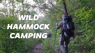 WILD CAMPING with a new Hammock [upl. by Ebert]