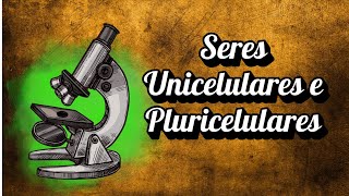 Seres Unicelulares e Pluricelulares [upl. by Albertson]