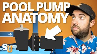 POOL PUMPS 101 How They Work and Troubleshooting Tips  Swim University [upl. by Aisetal]