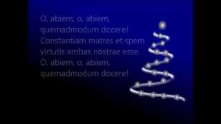 O abiem  Oh Christmas Tree Sung in Latin [upl. by Daub]