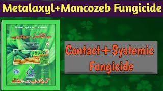 Metalaxyl 8 Mancozeb 64 WP  Systemic and Contact Fungicides [upl. by Maghutte]