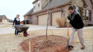 Pavestone Retaining Wall Installation [upl. by Raamaj862]