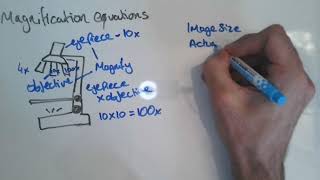 Magnification Equations GCSE [upl. by Sirac]