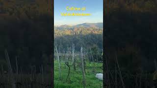 Colline di Valdobbiadene valdobbiadene prosecco [upl. by Gilburt473]