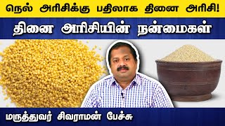 அடேங்கப்பா தினை அரிசியின் நன்மைகள் Dr Sivaraman speech about Foxtail Millet benefits in Tamil [upl. by Treboh]