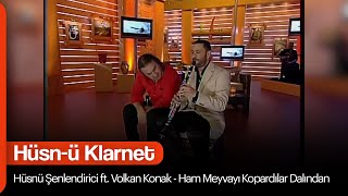 Hüsnü Şenlendirici feat Volkan Konak  Ham Meyvayı Kopardılar Dalından Hüsnü Klarnet [upl. by Ynnij]