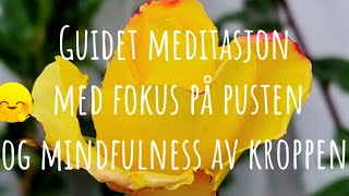 Fokus på pust og konsentrasjonHvordan øke konsentrasjon og tilstedeværelse Guidet meditasjon 🙏 [upl. by Radbourne]