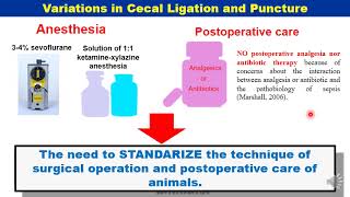 Cecal ligation and Puncture CLP Model Indirect model of Acute lung Injury [upl. by Weisbrodt]