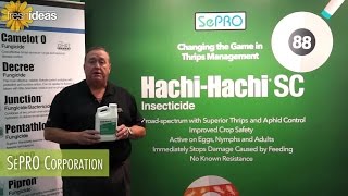 Sepro Changes The Game In Thrips Management With Hachi Hachi SC [upl. by Lyrrad882]