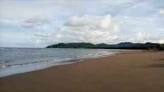 Leatherback turtles at Haevo Conservation area [upl. by Dann966]