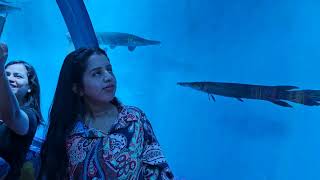 sea word Carnival underwater fish tunnel Dehradun Uttarakhand [upl. by Kealey]