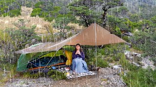 Solo Camping in a TORRENTIAL RAIN Storm  my Wildest camp so far [upl. by Connie]