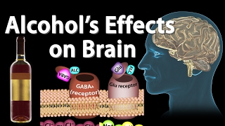 Effects of Alcohol on the Brain Animation Professional version [upl. by Vacla431]